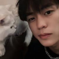 TY061402